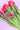roze scrunchie sleutelhanger met rood patroon op tulpen paarse achtergrond haaraccessoire